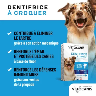 Vetocanis, Dentifrices à croquer pour Chien - Lot de 3 x 30 Comprimés