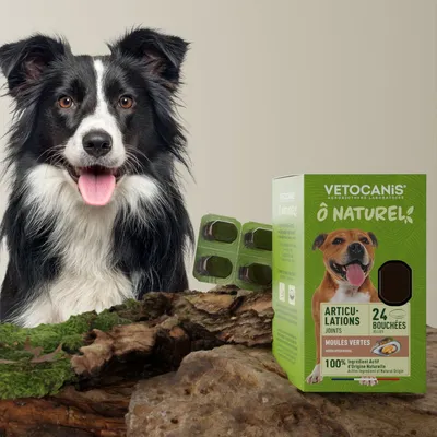 Vetocanis, Lot de 3 Compléments Alimentaires Articulations pour Chien