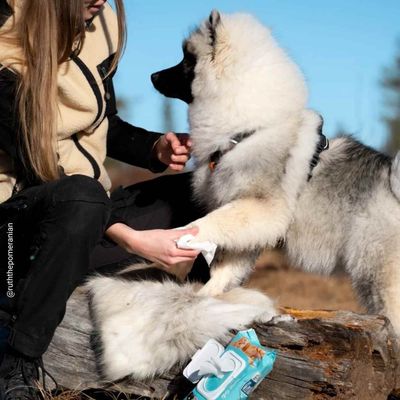 Vetocanis, 3x 72 Lingettes Nettoyantes pour Chat et Chien, Grand Format