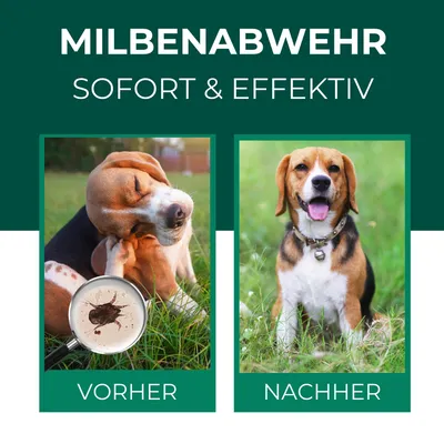 SILBERKRAFT Spray anti-acariens pour chiens