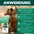 SILBERKRAFT Anti-acariens de l'herbe pour chien et chat SILBERKRAFT Anti-acariens de l'herbe pour chien et chat