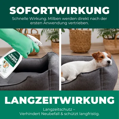 SILBERKRAFT Spray anti-acariens pour chiens SILBERKRAFT Spray anti-acariens pour chiens