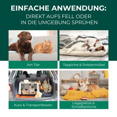 SILBERKRAFT Anti-acariens de l'herbe pour chien et chat