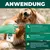 Silberkraft Milbenspray für Hunde – Abwehrspray (Repellent) gegen Milben Silberkraft Milbenspray für Hunde – Abwehrspray (Repellent) gegen Milben