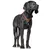 HUNTER Collier de dressage R&S Canadian UP, noir