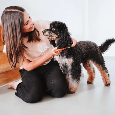 HUNTER Collier de dressage R&S Canadian UP, noir