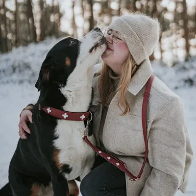 HUNTER Laisse réglable Swiss, noir