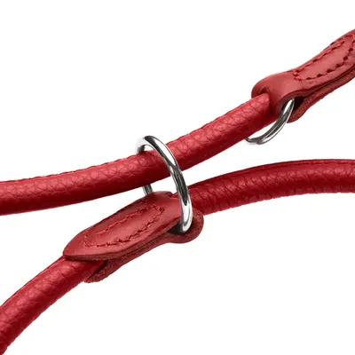 HUNTER Laisse réglable Round & Soft Love, rouge