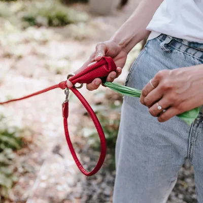 HUNTER Laisse réglable Round & Soft Love, rouge