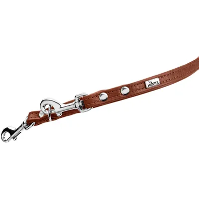 HUNTER Laisse réglable Canadian Up, cognac