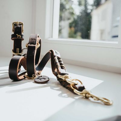 HUNTER Laisse réglable Solid Education Duo