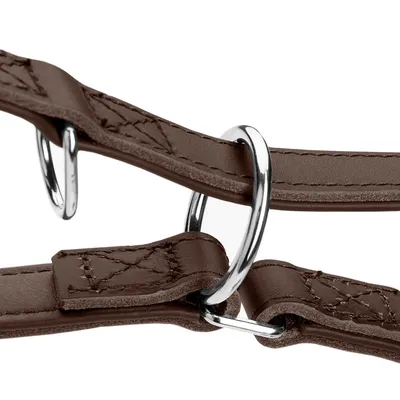 HUNTER Laisse réglable Arizona Up, marron