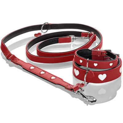 HUNTER Laisse réglable Love, rouge