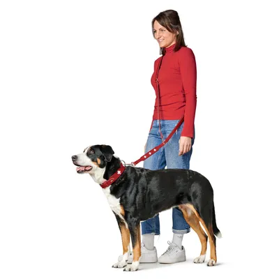 HUNTER Laisse réglable Swiss, rouge