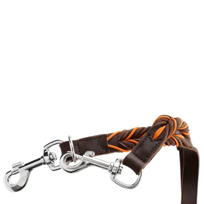 HUNTER Laisse réglable Solid Education Cord, marron foncé/turquoise