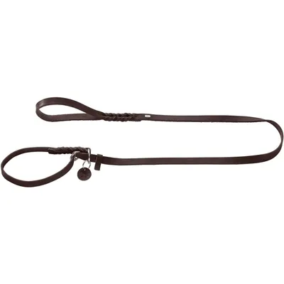 HUNTER Laisse pour retriever Solid Education, brun