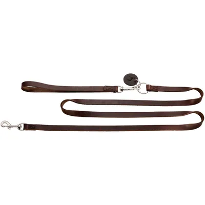 HUNTER Laisse multifonction 6 en 1 Solid Education, brun