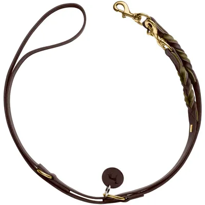 HUNTER Laisse réglable Solid Education Duo, marron foncé/olive