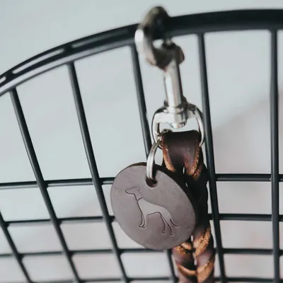 HUNTER Laisse Solid Education, cognac