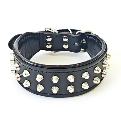 Bestia Custom Dog Gear - Le collier Boston Noir et Noir Bestia Custom Dog Gear - Le collier Boston Noir et Noir