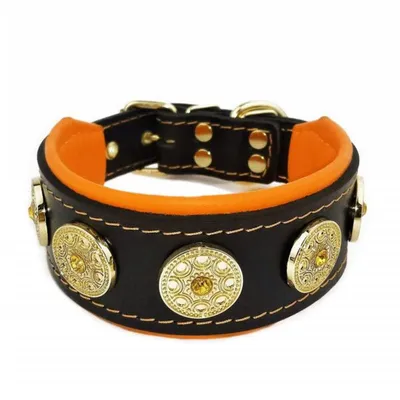 Bestia Custom Dog Gear - Le collier Bijou Noir et Orange
