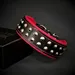 Boston Halsband
