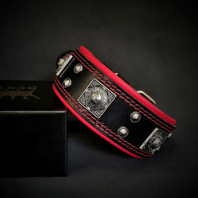 Das Eros-Halsband ist 5 cm breit