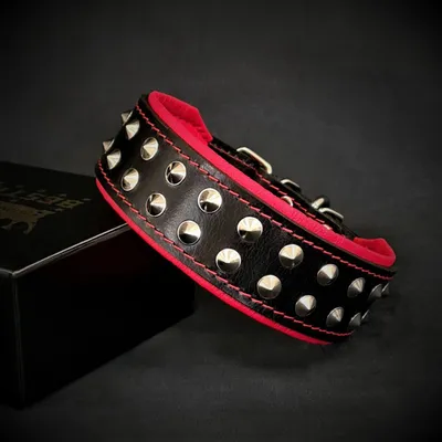 Boston Halsband Boston Halsband