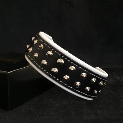 Boston Halsband Boston Halsband