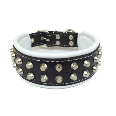 Bestia Custom Dog Gear - Le collier Boston Noir et Blanc Bestia Custom Dog Gear - Le collier Boston Noir et Blanc