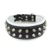 Bestia Custom Dog Gear - Le collier Boston Noir et Blanc