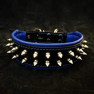 Bestia Custom Dog Gear - Le collier Frenchie Noir et Bleu Bestia Custom Dog Gear - Le collier Frenchie Noir et Bleu