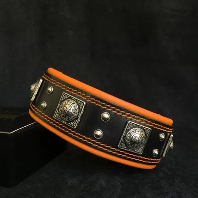 Bestia Custom Dog Gear - Le collier Eros Noir et Orange Bestia Custom Dog Gear - Le collier Eros Noir et Orange