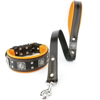 Le collier Eros de 6,3 cm de large noir & orange