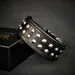 Boston Halsband