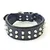 Bestia Custom Dog Gear - Le collier Boston Noir et Noir Bestia Custom Dog Gear - Le collier Boston Noir et Noir