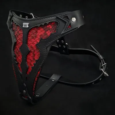 Das Red Dragon-Geschirr