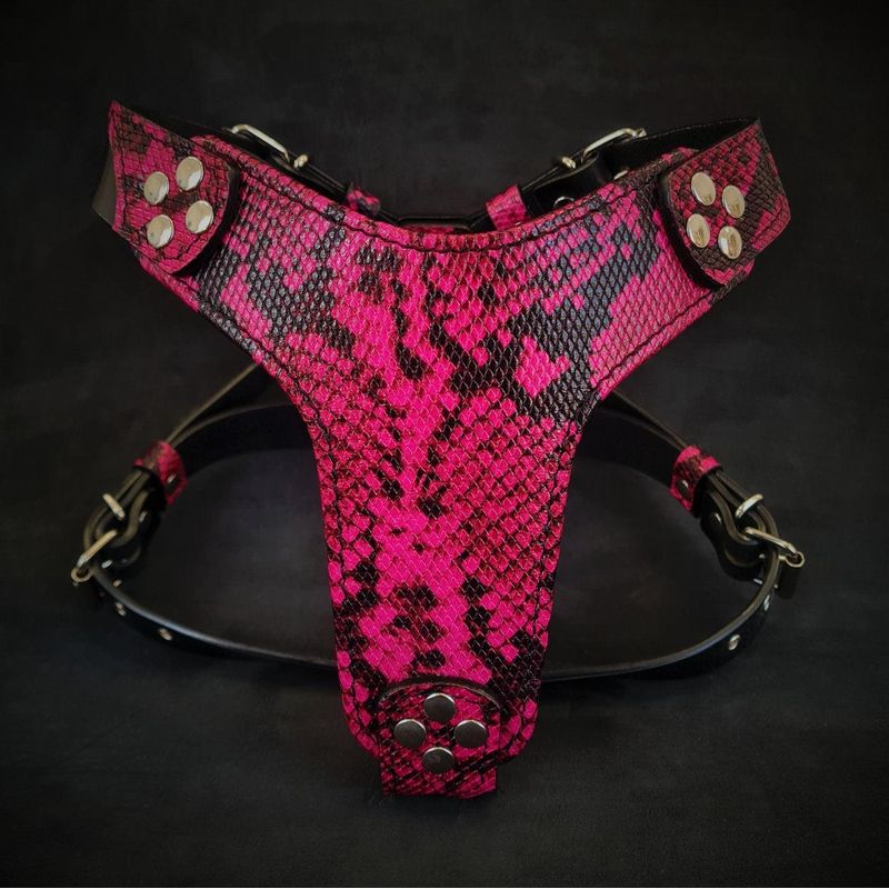 Das Geschirr Rock Python PINK