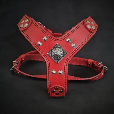 Bestia Custom Dog Gear - Le harnais Eros Rouge Bestia Custom Dog Gear - Le harnais Eros Rouge