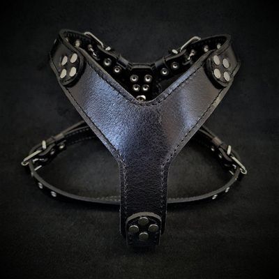 Le harnais Style Noir Taille petite à moyenne