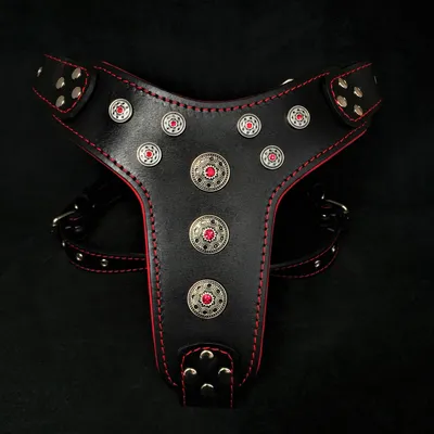 Bestia Custom Dog Gear - Harnais Bijou Noir et Rouge Bestia Custom Dog Gear - Harnais Bijou Noir et Rouge