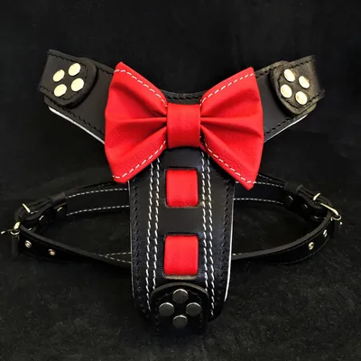 Bestia Custom Dog Gear - Harnais en cuir noir avec nœud papillon