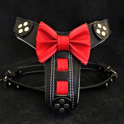 Le Bowtie harnais en cuir à la main noir de petite à moyenne taille