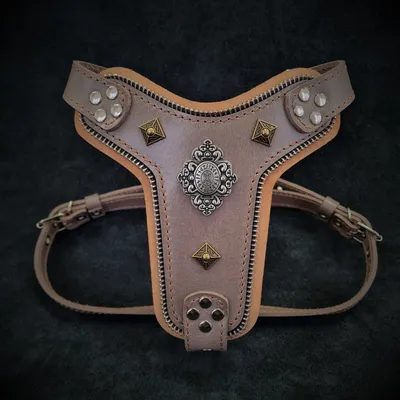 Bestia Custom Dog Gear - Harnais Bijou Noir et Bleu Bestia Custom Dog Gear - Harnais Bijou Noir et Bleu