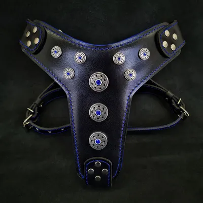 Bestia Custom Dog Gear - Harnais Bijou Noir et Bleu Bestia Custom Dog Gear - Harnais Bijou Noir et Bleu