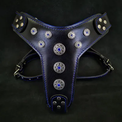 Le harnais Bijou Noir & Bleu Taille Petite à Moyenne Le harnais Bijou Noir & Bleu Taille Petite à Moyenne