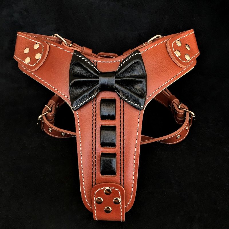 Bestia Harnais en cuir Bowtie