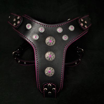 Geschirr Bijou in Schwarz und Pink für große Hunde