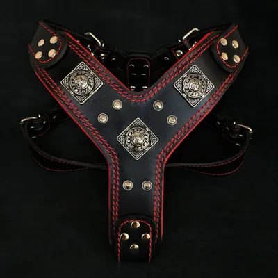 Le harnais Eros noir & rouge Le harnais Eros noir & rouge