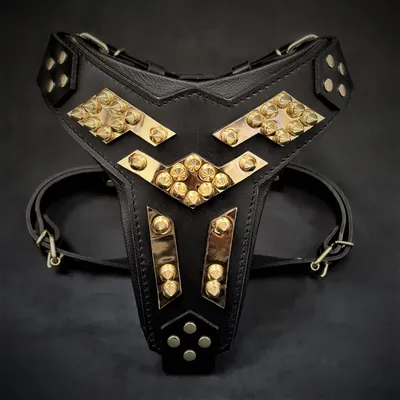 Bestia Custom Dog Gear - Le harnais Midas Or Bestia Custom Dog Gear - Le harnais Midas Or